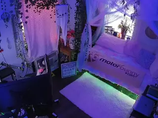 voyeurcam veccasalt 01's Live Sex Cam Show