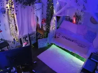 voyeurcam veccasalt 01's Live Sex Cam Show