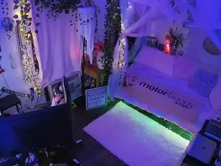 voyeurcam veccasalt 01's Live Sex Cam Show