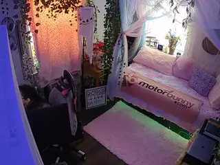 voyeurcam veccasalt 01's Live Sex Cam Show