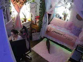 voyeurcam veccasalt 01's Live Sex Cam Show