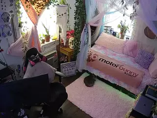 voyeurcam veccasalt 01's Live Sex Cam Show