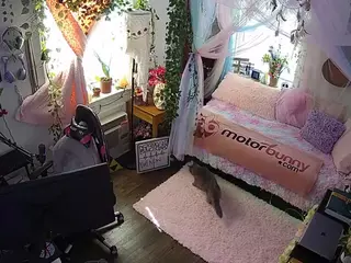 voyeurcam veccasalt 01's Live Sex Cam Show