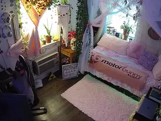 voyeurcam veccasalt 01's Live Sex Cam Show