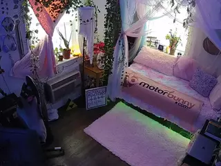 voyeurcam veccasalt 01's Live Sex Cam Show