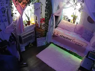 voyeurcam veccasalt 01's Live Sex Cam Show