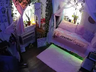 voyeurcam veccasalt 01's Live Sex Cam Show
