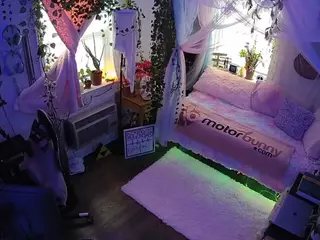 voyeurcam veccasalt 01's Live Sex Cam Show