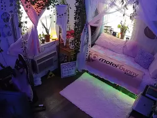 voyeurcam veccasalt 01's Live Sex Cam Show