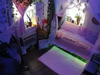 voyeurcam veccasalt 01's Live Sex Cam Show