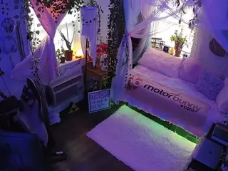 voyeurcam veccasalt 01's Live Sex Cam Show