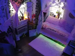 voyeurcam veccasalt 01's Live Sex Cam Show
