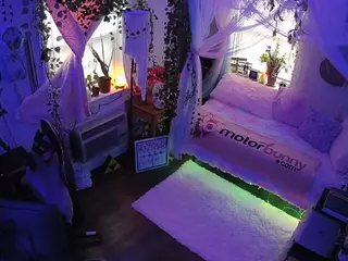 voyeurcam veccasalt 01's Live Sex Cam Show