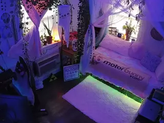 voyeurcam veccasalt 01's Live Sex Cam Show