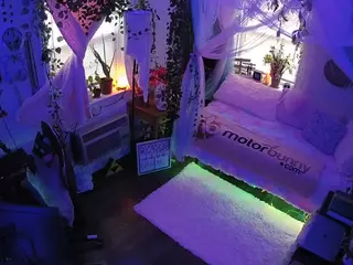 voyeurcam veccasalt 01's Live Sex Cam Show
