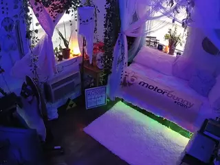 voyeurcam veccasalt 01's Live Sex Cam Show