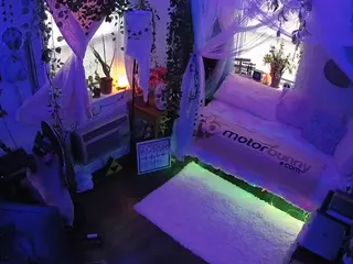 voyeurcam veccasalt 01's Live Sex Cam Show