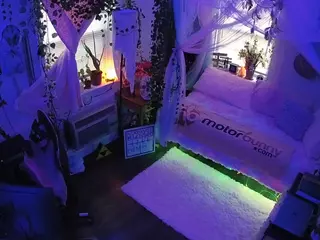 voyeurcam veccasalt 01's Live Sex Cam Show