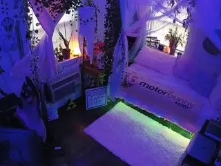 voyeurcam veccasalt 01's Live Sex Cam Show
