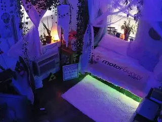 voyeurcam veccasalt 01's Live Sex Cam Show
