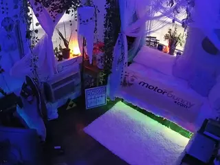 voyeurcam veccasalt 01's Live Sex Cam Show