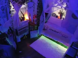 voyeurcam veccasalt 01's Live Sex Cam Show