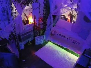 voyeurcam veccasalt 01's Live Sex Cam Show