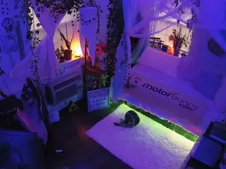 voyeurcam veccasalt 01's Live Sex Cam Show