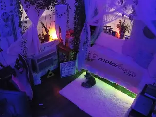 voyeurcam veccasalt 01's Live Sex Cam Show