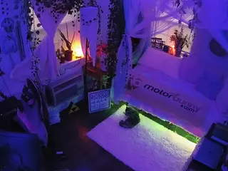 voyeurcam veccasalt 01's Live Sex Cam Show