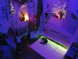 voyeurcam veccasalt 01's Live Sex Cam Show