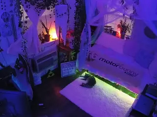 voyeurcam veccasalt 01's Live Sex Cam Show