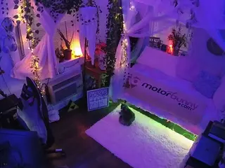 voyeurcam veccasalt 01's Live Sex Cam Show