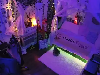 voyeurcam veccasalt 01's Live Sex Cam Show