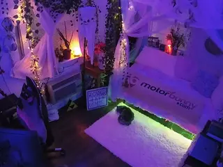 voyeurcam veccasalt 01's Live Sex Cam Show