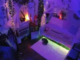 voyeurcam veccasalt 01's Live Sex Cam Show