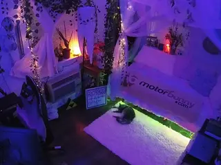 voyeurcam veccasalt 01's Live Sex Cam Show