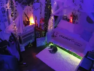 voyeurcam veccasalt 01's Live Sex Cam Show