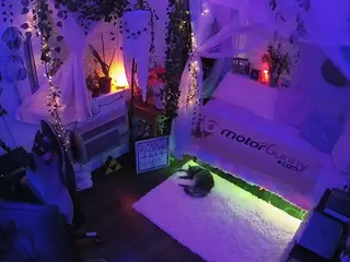 voyeurcam veccasalt 01's Live Sex Cam Show