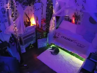 voyeurcam veccasalt 01's Live Sex Cam Show