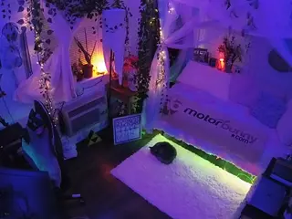 voyeurcam veccasalt 01's Live Sex Cam Show