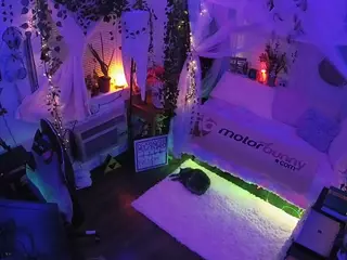 voyeurcam veccasalt 01's Live Sex Cam Show