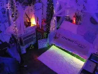 voyeurcam veccasalt 01's Live Sex Cam Show