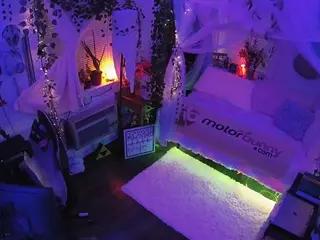voyeurcam veccasalt 01's Live Sex Cam Show