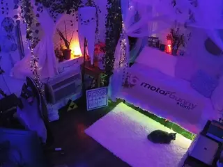 voyeurcam veccasalt 01's Live Sex Cam Show
