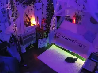 voyeurcam veccasalt 01's Live Sex Cam Show