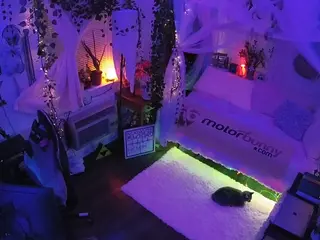 voyeurcam veccasalt 01's Live Sex Cam Show