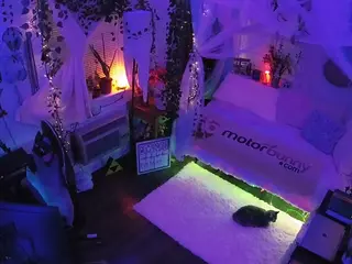 voyeurcam veccasalt 01's Live Sex Cam Show
