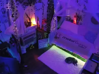 voyeurcam veccasalt 01's Live Sex Cam Show