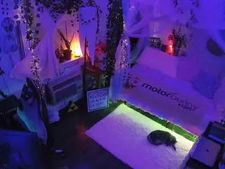 voyeurcam veccasalt 01's Live Sex Cam Show